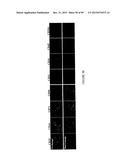 ADIPOSE-DERIVED STEM CELLS AND LATTICES diagram and image