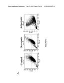 ADIPOSE-DERIVED STEM CELLS AND LATTICES diagram and image