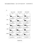 ADIPOSE-DERIVED STEM CELLS AND LATTICES diagram and image