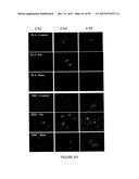 ADIPOSE-DERIVED STEM CELLS AND LATTICES diagram and image