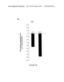 ADIPOSE-DERIVED STEM CELLS AND LATTICES diagram and image