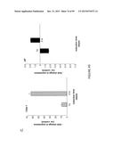 ADIPOSE-DERIVED STEM CELLS AND LATTICES diagram and image