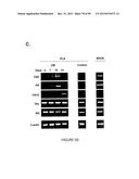 ADIPOSE-DERIVED STEM CELLS AND LATTICES diagram and image