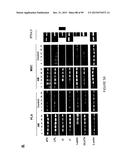 ADIPOSE-DERIVED STEM CELLS AND LATTICES diagram and image