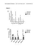 PANCREATIC INSULIN-PRODUCING BETA-CELL LINES DERIVED FROM HUMAN     PLURIPOTENT STEM CELLS diagram and image