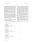 PANCREATIC INSULIN-PRODUCING BETA-CELL LINES DERIVED FROM HUMAN     PLURIPOTENT STEM CELLS diagram and image