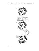 Methods Of Stapling And Unstapling Peptides And Proteins diagram and image