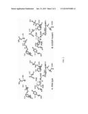 MUTANT ENZYMES diagram and image