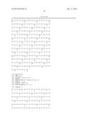 MODIFIED POLYMERASES FOR IMPROVED INCORPORATION OF NUCLEOTIDE ANALOGUES diagram and image