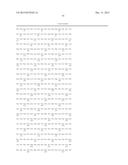 MODIFIED POLYMERASES FOR IMPROVED INCORPORATION OF NUCLEOTIDE ANALOGUES diagram and image