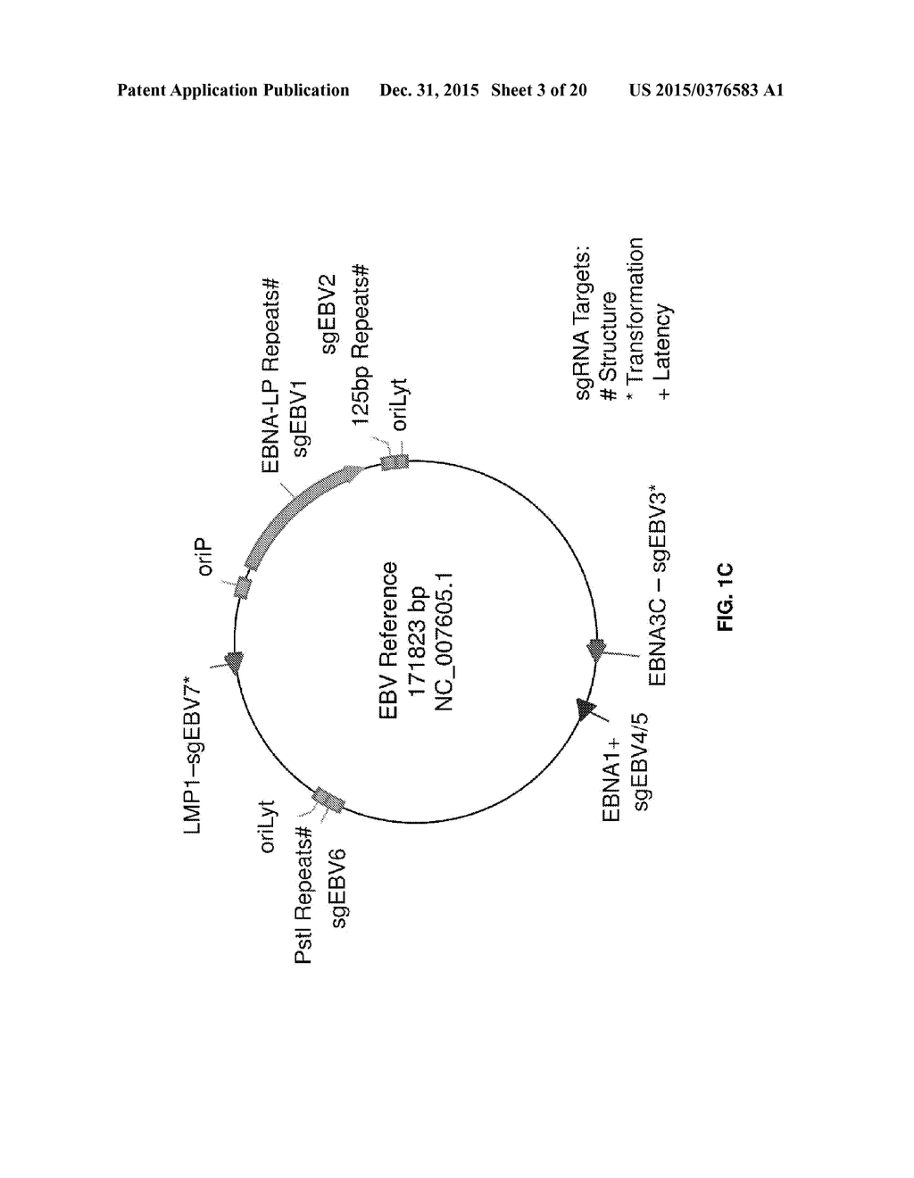 COMPOSITIONS AND METHODS TO TREAT LATENT VIRAL INFECTIONS - diagram, schematic, and image 04