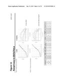 METHODS OF TREATING VIRAL INFECTIONS, PARTICULARLY RABIES, MERS-COV,     INFLUENZA, EBOLA, CHIKUNGUNYA, VENEZUELAN EQUINE ENCEPHALITUS, CANINE     PARVOVIRUS, ADENOVIRUS, RESPIRATORY SYNCYTIAL VIRUS, RHINOVIRUS, AND     POXVIRUS IN MAMMALIAN PATIENTS diagram and image