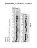 RNA Modification to Engineer Cas9 Activity diagram and image