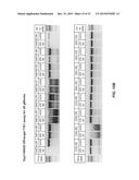 RNA Modification to Engineer Cas9 Activity diagram and image