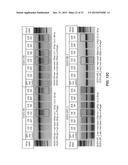 RNA Modification to Engineer Cas9 Activity diagram and image