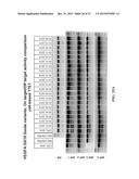 RNA Modification to Engineer Cas9 Activity diagram and image