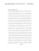 PROCESS FOR MAKING RECOMBINANT ANTIDOTE TO FACTOR XA INHIBITOR diagram and image