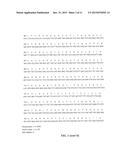 PROCESS FOR MAKING RECOMBINANT ANTIDOTE TO FACTOR XA INHIBITOR diagram and image