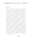 PROCESS FOR MAKING RECOMBINANT ANTIDOTE TO FACTOR XA INHIBITOR diagram and image