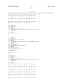 PROCESS FOR MAKING RECOMBINANT ANTIDOTE TO FACTOR XA INHIBITOR diagram and image