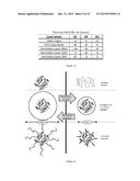 STABILIZATION OF BIOMOLECULES BY ATTACHMENT OF RESPONSIVE POLYMERS AND     SENSORS THEREOF diagram and image