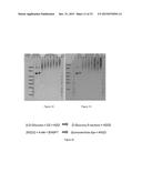 STABILIZATION OF BIOMOLECULES BY ATTACHMENT OF RESPONSIVE POLYMERS AND     SENSORS THEREOF diagram and image