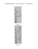 STABILIZATION OF BIOMOLECULES BY ATTACHMENT OF RESPONSIVE POLYMERS AND     SENSORS THEREOF diagram and image