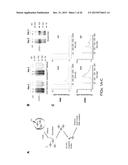 CCCTC-Binding Factor (CTCF) RNA Interactome diagram and image