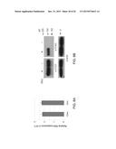 CCCTC-Binding Factor (CTCF) RNA Interactome diagram and image