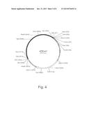 Promoter Variants For Expressing Genes In A Fungal Cell diagram and image