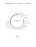 Promoter Variants For Expressing Genes In A Fungal Cell diagram and image