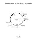 Promoter Variants For Expressing Genes In A Fungal Cell diagram and image