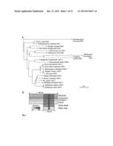 METHODS AND MEANS FOR INCREASING STRESS TOLERANCE AND BIOMASS IN PLANTS diagram and image