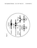 GENE EDITING IN THE OOCYTE BY CAS9 NUCLEASES diagram and image