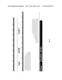 RECOMBINANT MICROORGANISMS WITH INCREASED TOLERANCE TO ETHANOL diagram and image