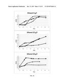 RECOMBINANT MICROORGANISMS WITH INCREASED TOLERANCE TO ETHANOL diagram and image