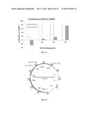 RECOMBINANT MICROORGANISMS WITH INCREASED TOLERANCE TO ETHANOL diagram and image