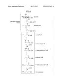 MANUFACTURING METHOD FOR 1,4-BUTANEDIOL, MICROBE, AND GENE diagram and image