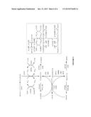 MAKING C4+ PRODUCTS IN BACTERIA diagram and image