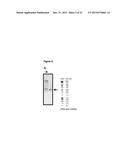 RECOMBINANT MICROORGANISM FOR IMPROVED PRODUCTION OF FINE CHEMICALS diagram and image