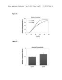 RECOMBINANT MICROORGANISM FOR IMPROVED PRODUCTION OF FINE CHEMICALS diagram and image