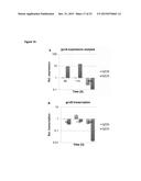 RECOMBINANT MICROORGANISM FOR IMPROVED PRODUCTION OF FINE CHEMICALS diagram and image