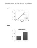 RECOMBINANT MICROORGANISM FOR IMPROVED PRODUCTION OF FINE CHEMICALS diagram and image