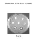 METHOD TO GENERATE NOVEL BIOACTIVE MOLECULES diagram and image