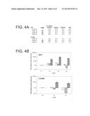 METHODS AND MEANS FOR DETERMINING AND CONFERRING STRESS TOLERANCE IN     PLANTS diagram and image