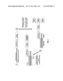 DETECTABLE NUCLEIC ACID TAG diagram and image