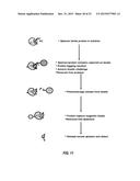 CHRONIC OBSTRUCTIVE PULMONARY DISEASE (COPD) BIOMARKERS AND USES THEREOF diagram and image