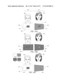 Directional privacy display diagram and image