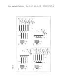 ELECTRONIC APPARATUS AND INFORMATION PROCESSING SYSTEM diagram and image