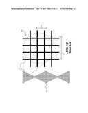 MICRO-WIRE ELECTRODES HAVING DIFFERENT SPATIAL RESOLUTIONS diagram and image